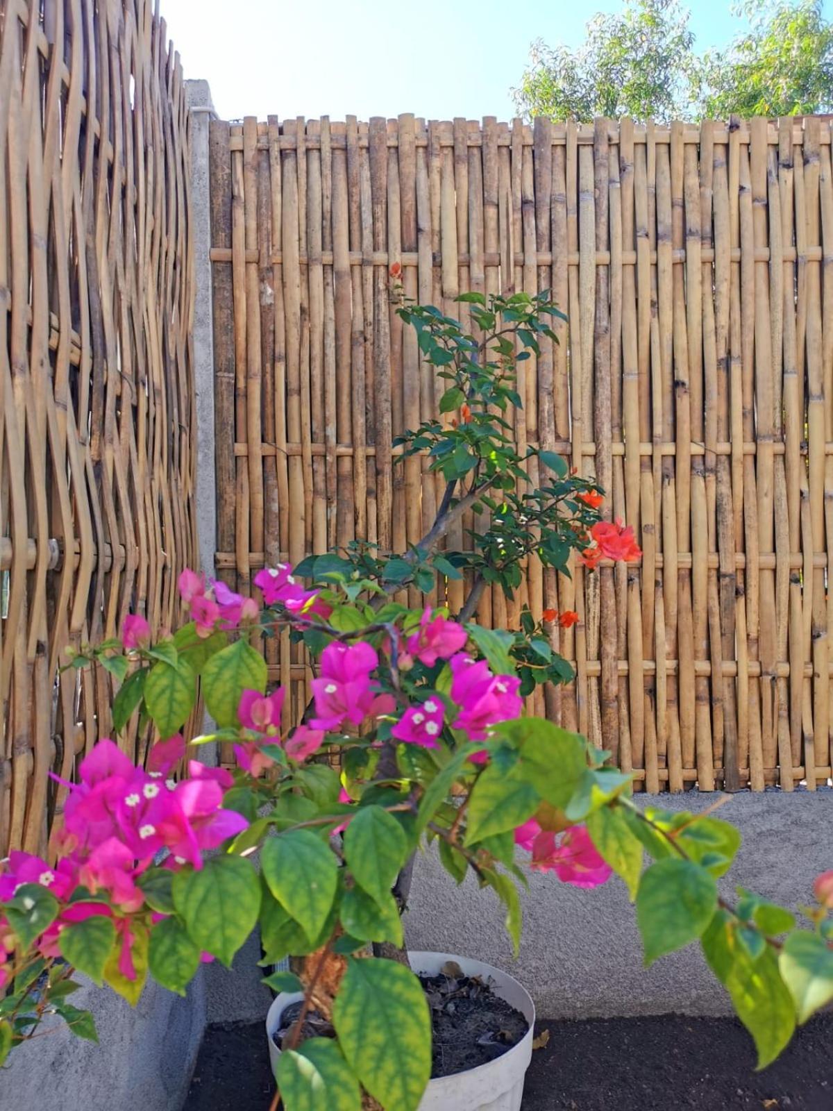 Exotic House Βίλα Gili Meno Εξωτερικό φωτογραφία