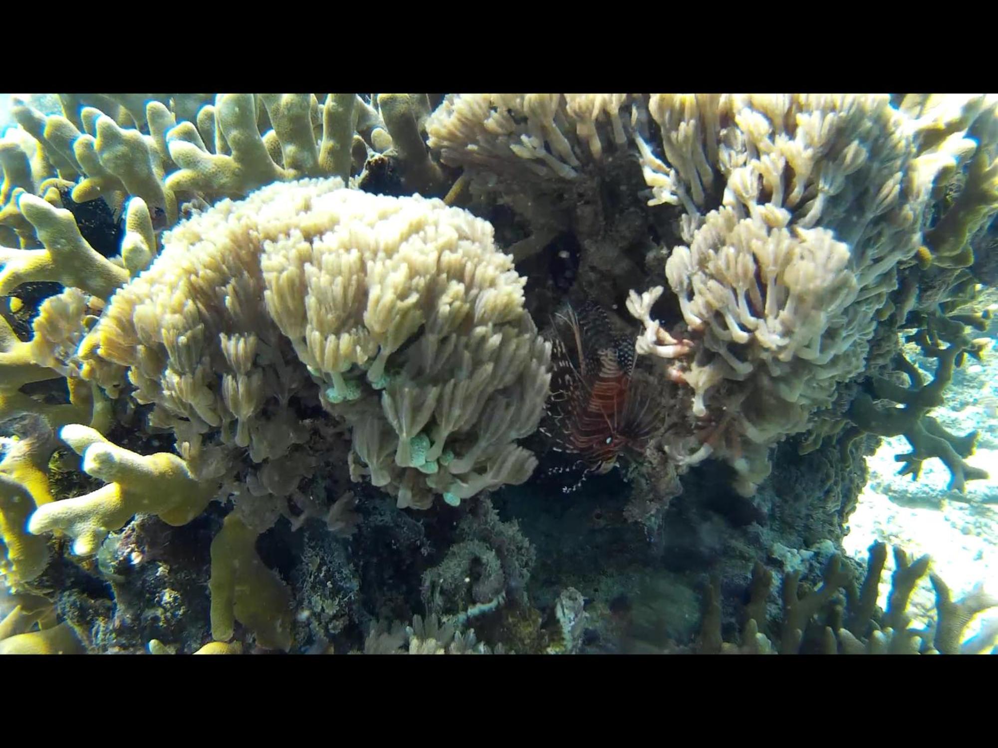 Exotic House Βίλα Gili Meno Εξωτερικό φωτογραφία