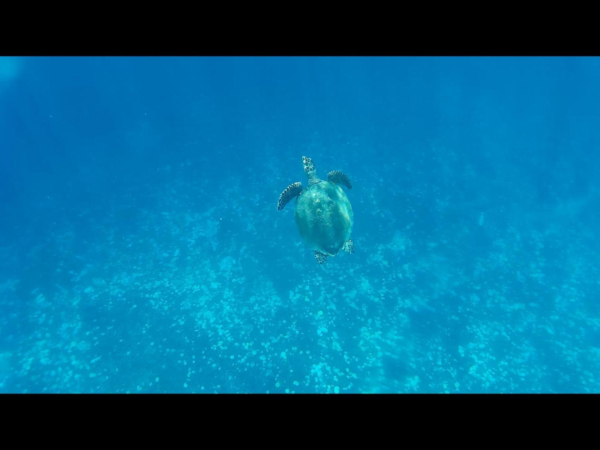 Exotic House Βίλα Gili Meno Εξωτερικό φωτογραφία
