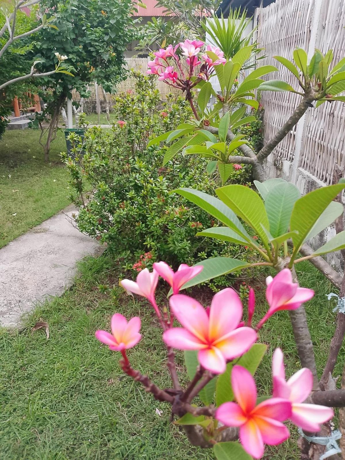 Exotic House Βίλα Gili Meno Δωμάτιο φωτογραφία